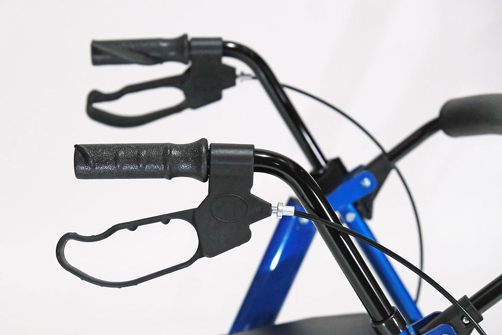 Thumbnail: The Solid Rollator