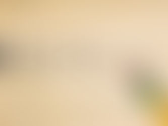 A Brief History: The Scottish Rite Bodies in the Valley of Reading