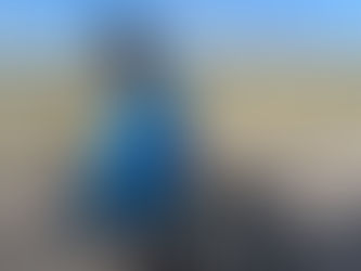 Day 10 - Tonto Basin to Globe AZ