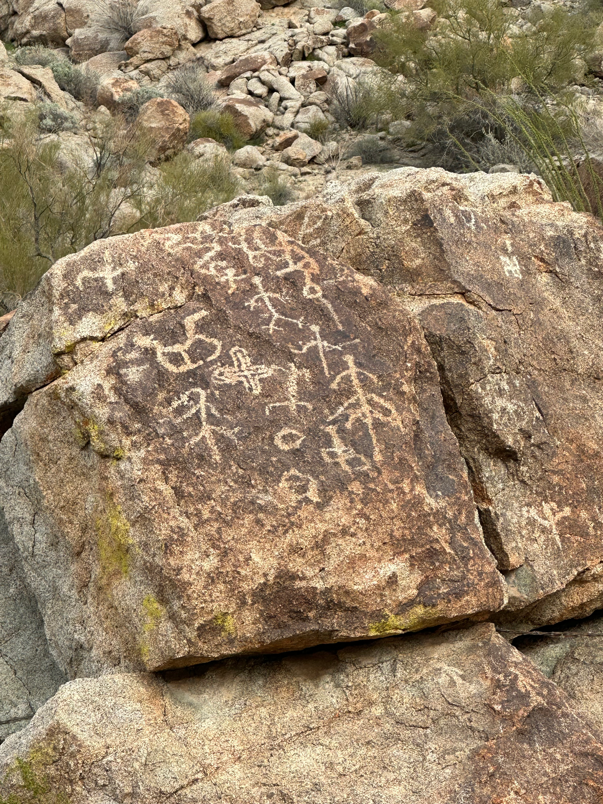 Indian petroglyphs