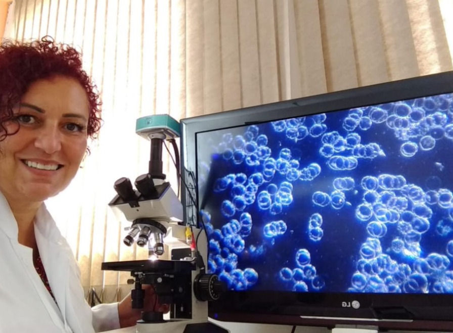 Microscopia à chinesa