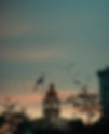 Contact Background