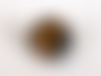 Tiger Eye Crystal Meaning: Ancient Secrets & Hidden Powers Revealed