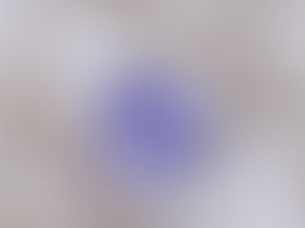 Tanzanite: A Deep-Dive into its Unique Meaning, Therapeutic Properties, and Dynamic Uses