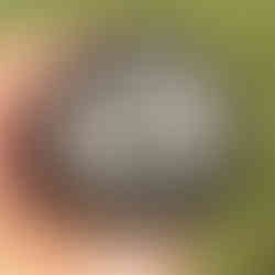 Obsidian Sphere with Stand - Crystal Home Decor - Natural Stone -