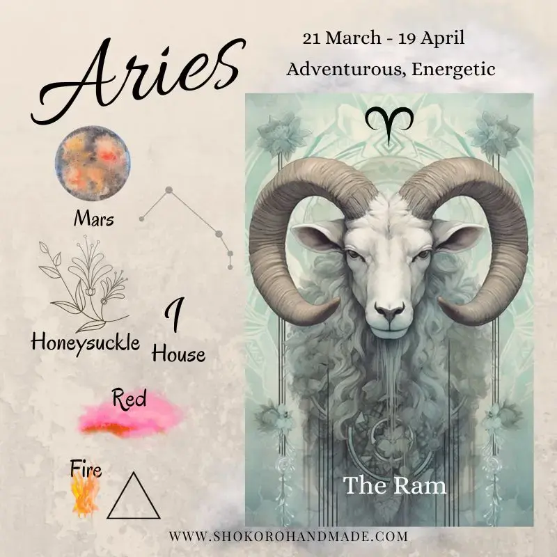Aries, The Ram watercolor art featuring traits and facts for the Shokoro Handmade ultimate guide to Aries zodiac sign meaning and gemstone benefits.