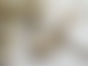 Discovering Zodiac Birthstones: A Guide to Celestial Gems