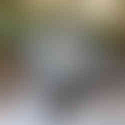 Taurus Zodiac Jewelry box, Zodiac Altar Box, Gothic Astrology Birthday Gift for Her & Him, Memory Box, Handmade Horoscope Taurus Wooden Box