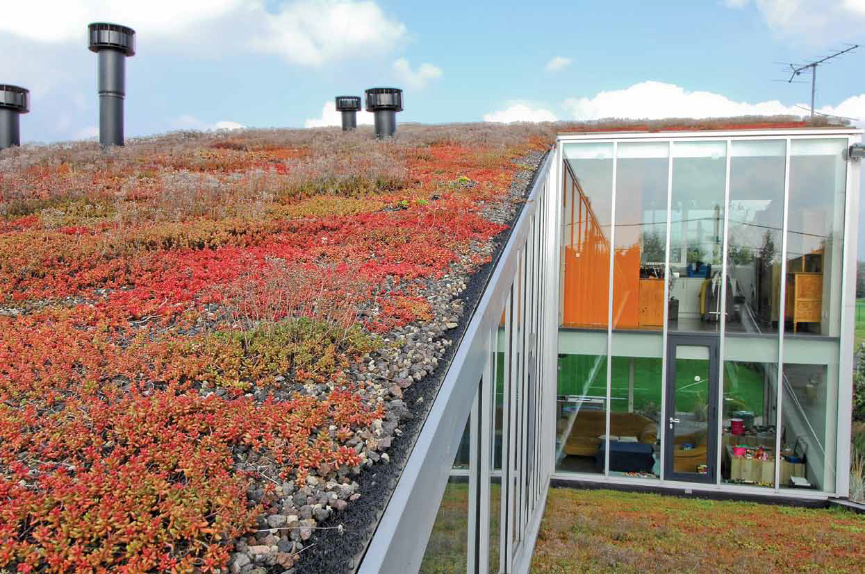 TPO Green Roof - Ardex