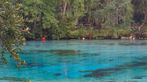 Where or what is the Source of your Spring?