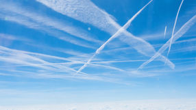 Look up: What do you see?