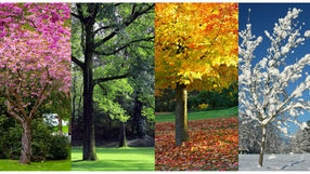 Seasons Change