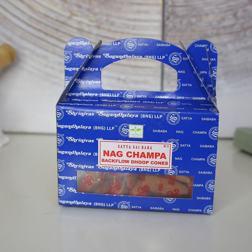 Encens Nag Champa 24 cônes / Satya