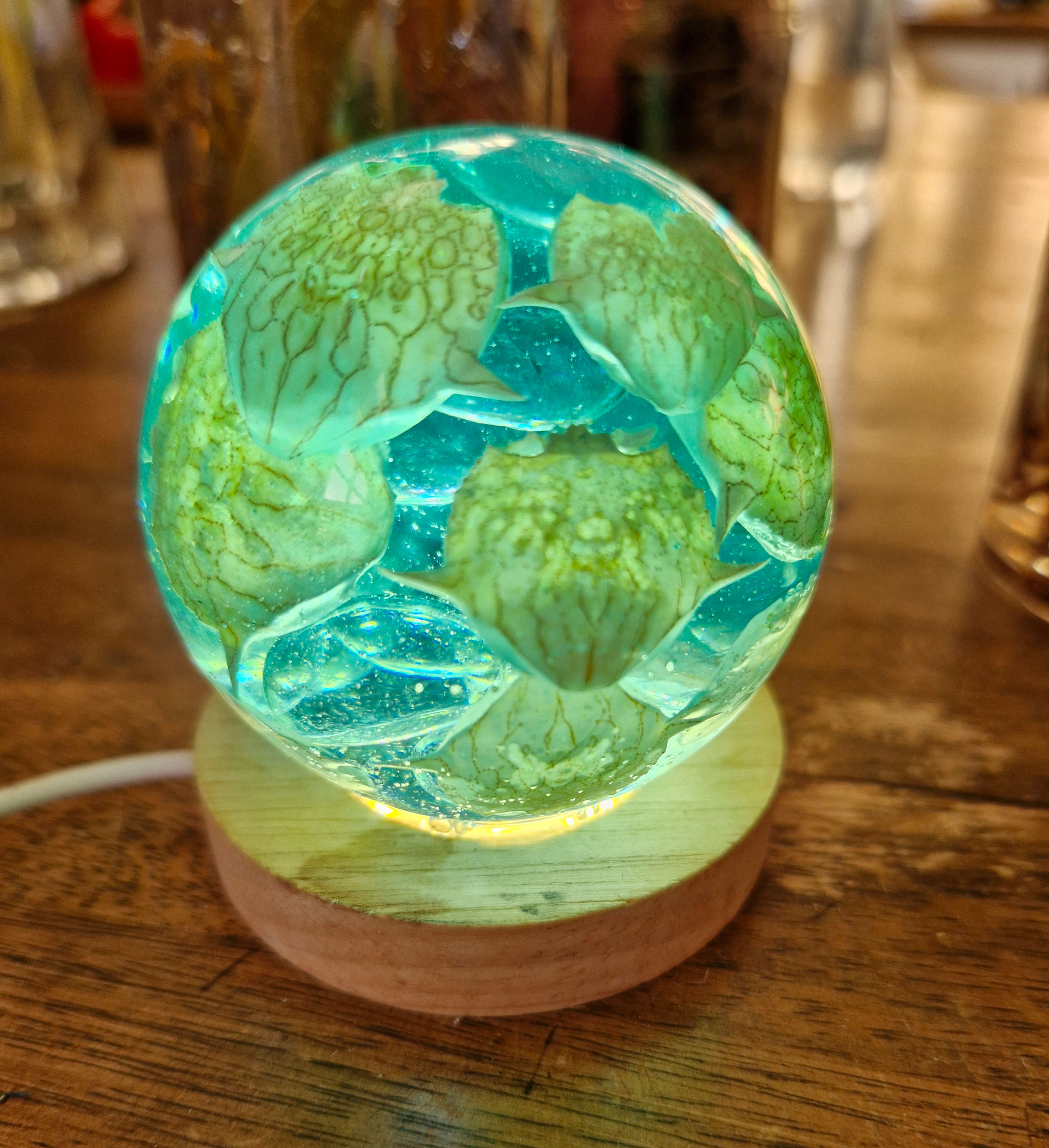 Crab shells night light