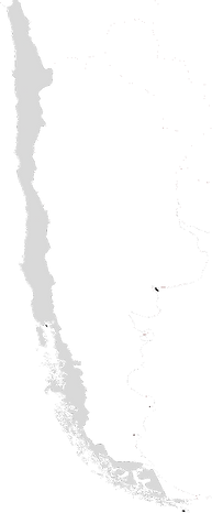 Chile Country Outline.png