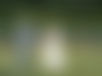 L & G's Elopement turned Micro-Wedding at Merrie Mill Farm & Vineyard, Charlottesville VA