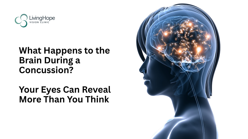 What Happens to the Brain During a Concussion? How Your Eyes Can Reveal Hidden Signs