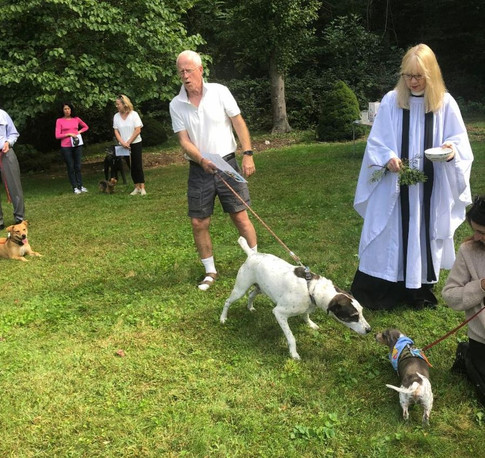 Blessing of the Animals