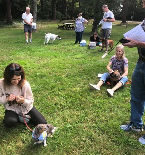 Blessing of the Animals