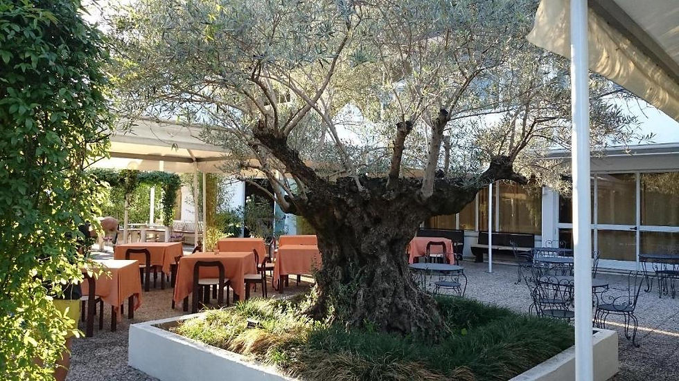 esterno tavoli ristorante eurovil