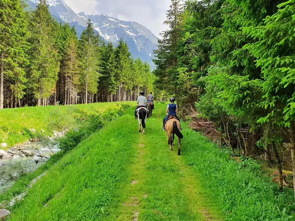 A cavallo ponte di legno 3.jpg
