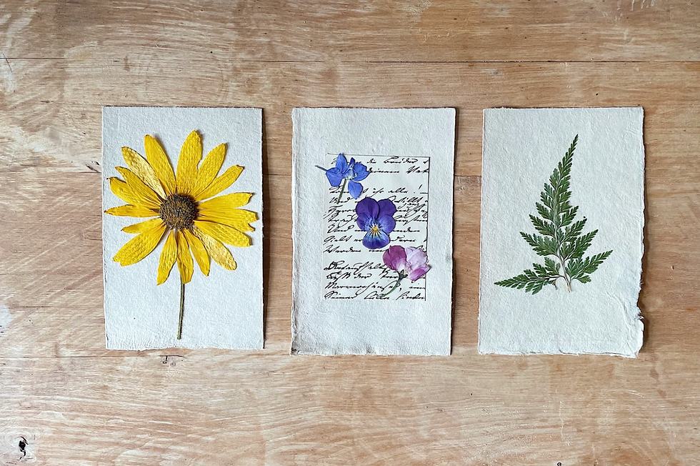 Rooted: Flower Collecting & Pressing