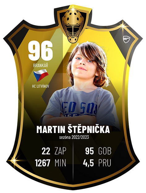 Board HOKEJ brankar.png