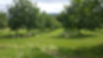20210826_141633.jpeg