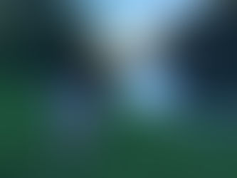 Passeggiate a cavallo