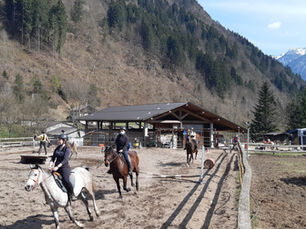 Lezioni di equitazione