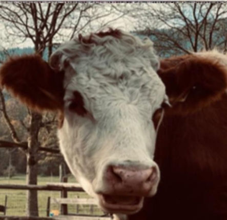 WhatsApp Image 2022-06-24 at 00.38_edited.jpg