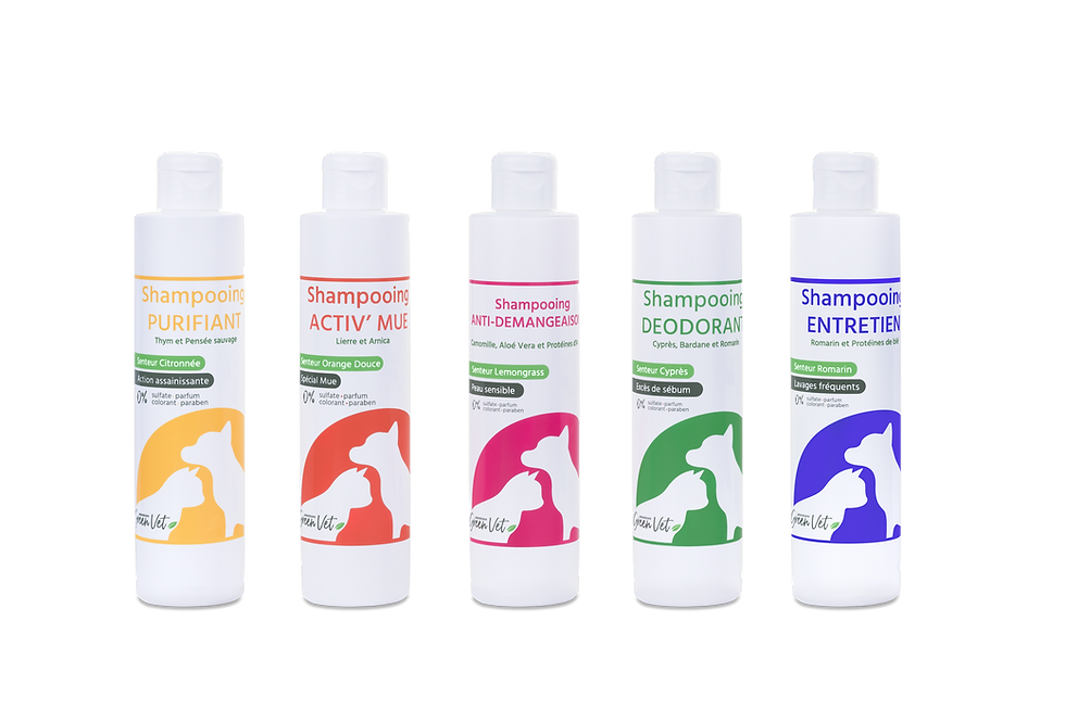 Miniature : SHAMPOING DEODORANT