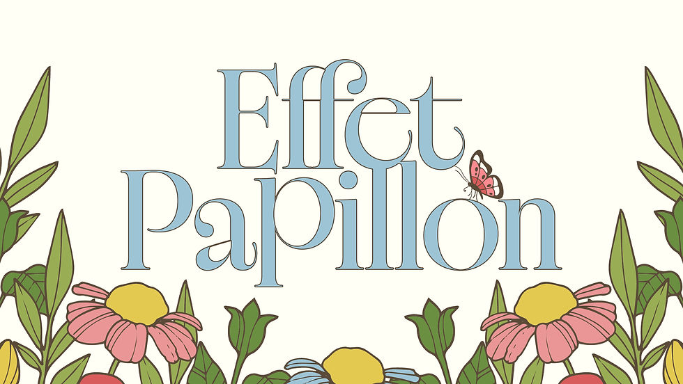 Effet Papillon