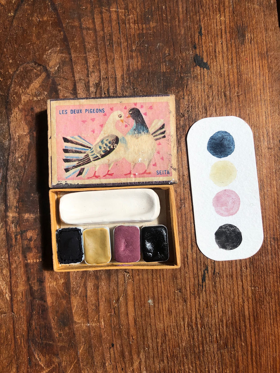 Miniature : Mini palette pigeon