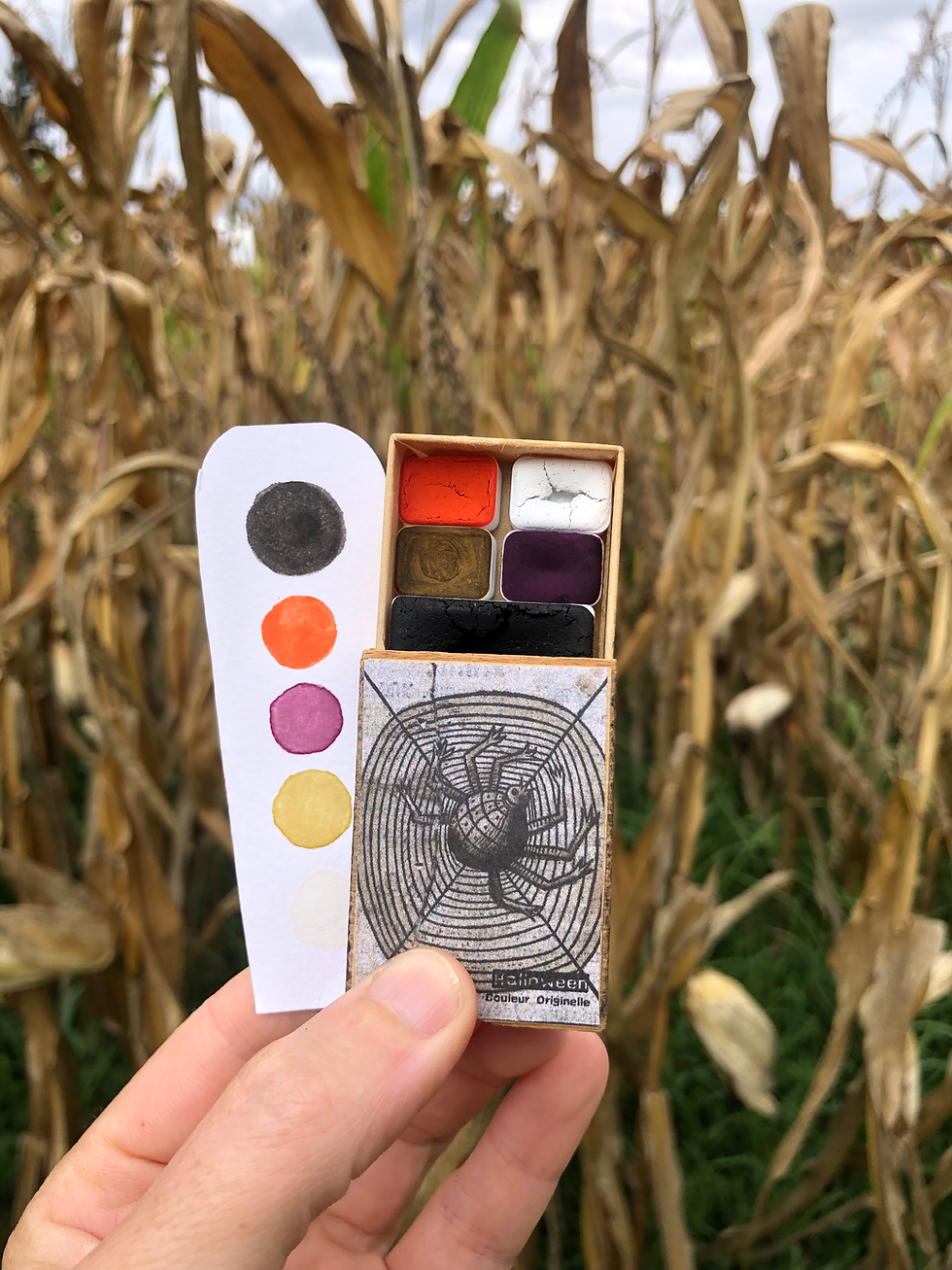 Miniature : Mini palette araignée 
