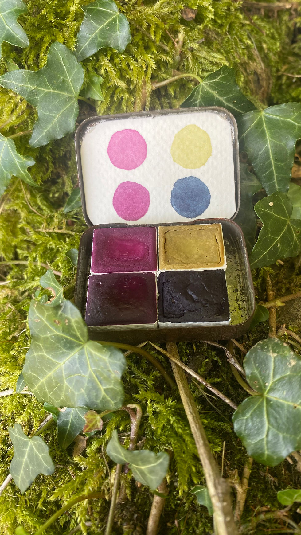 Miniature : Palette Vintage box 1