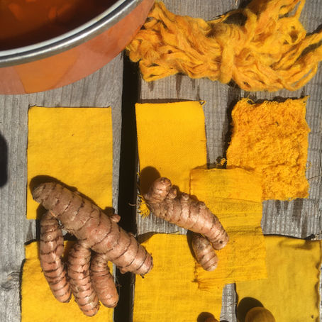 Le curcuma dans tous ses états 1/2