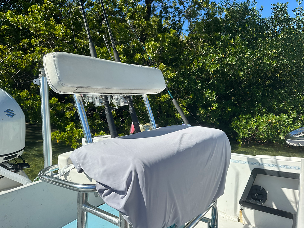 Thumbnail: SaltySeat: Leaning Post