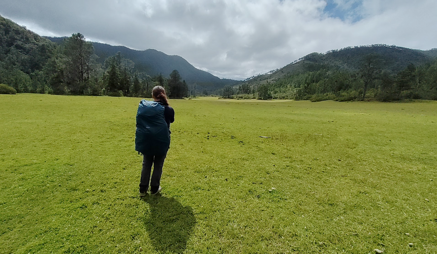 field