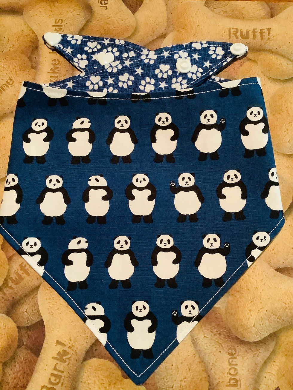 Thumbnail: Pandas (Dark Blue)
