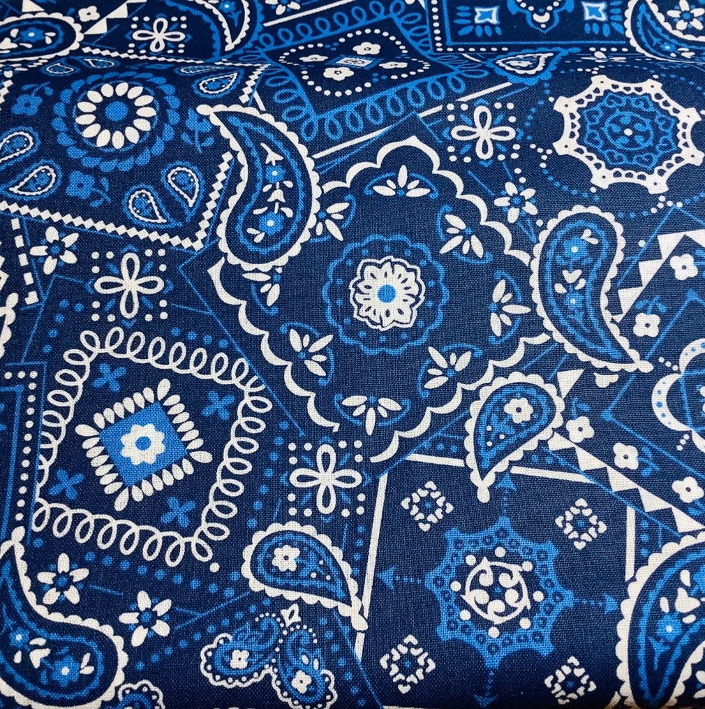 Blue Paisley