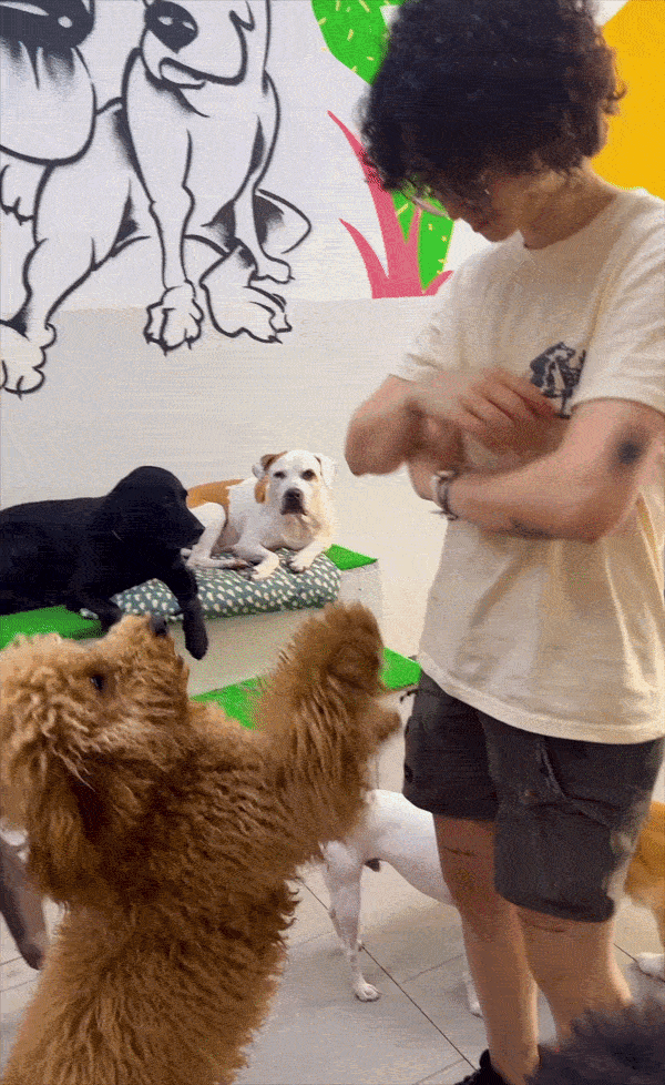 nuestro equipo con los perros