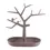Miniature : Arbre à sécher - TAUPE