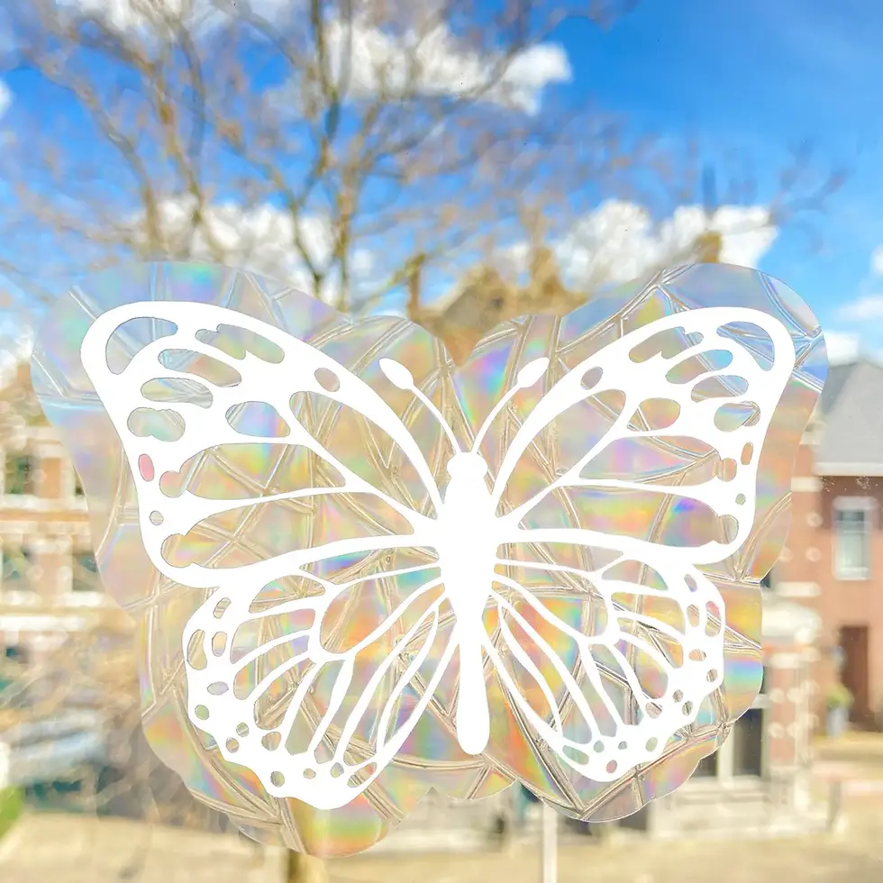 Attrape-soleil papillon