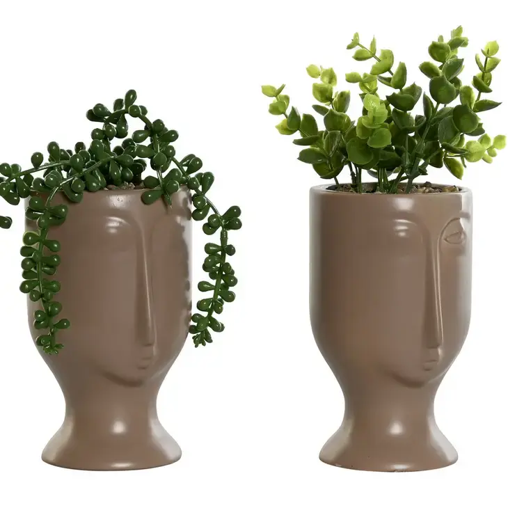 Plante en céramique
