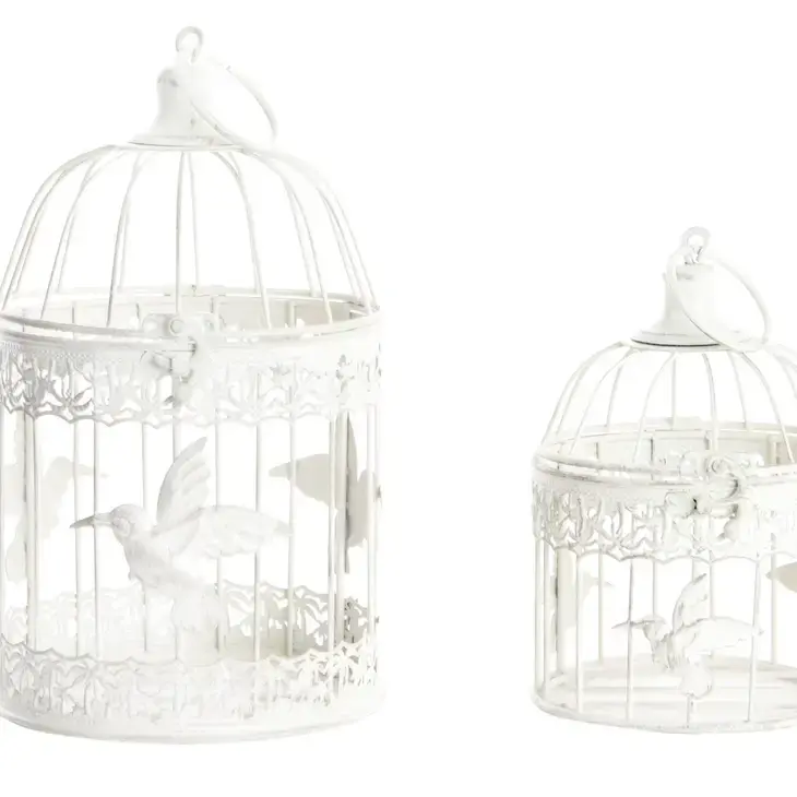 Cage "colibri" ronde grande
