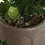 Miniature : Plante en céramique