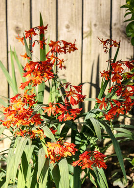 August 2023-170-21.jpg