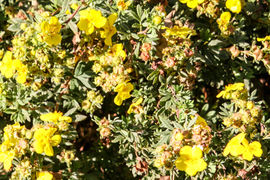 August 2023-167-18.jpg