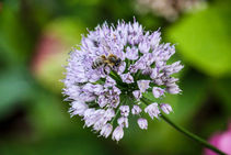 August 2023-163-14.jpg